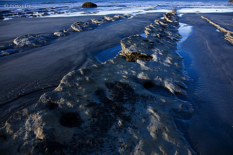 090112-2844.jpg