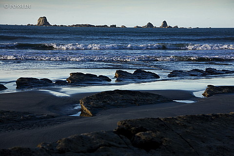 090112-2846.jpg