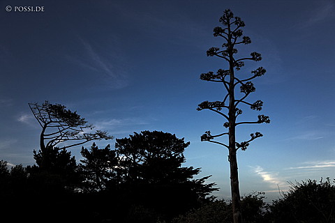 090112-2917.jpg