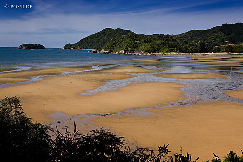 090113-2960.jpg