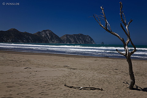 090117-3190.jpg