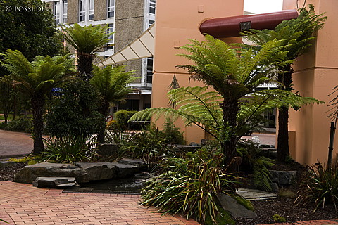 090118-3229.jpg