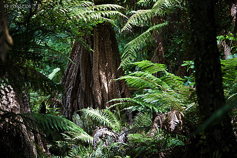 090119-3238.jpg