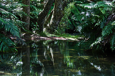 090119-3242.jpg