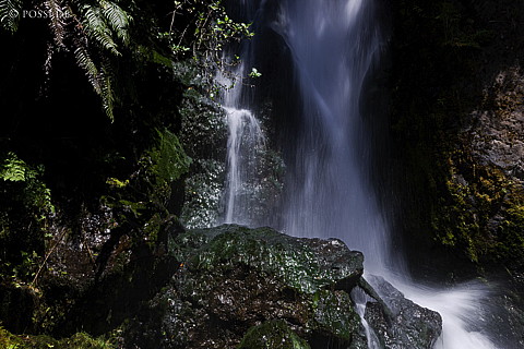 090119-3259.jpg