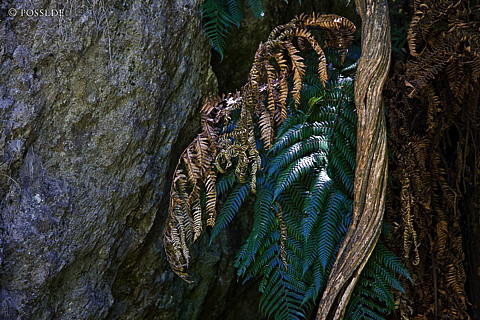 090119-3275.jpg