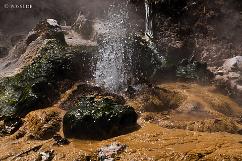 090119-3420.jpg