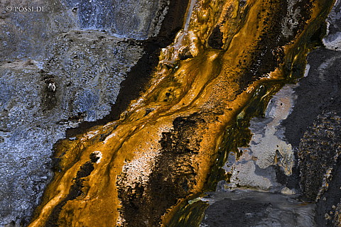 090119-3536.jpg