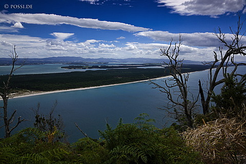 090120-3598.jpg