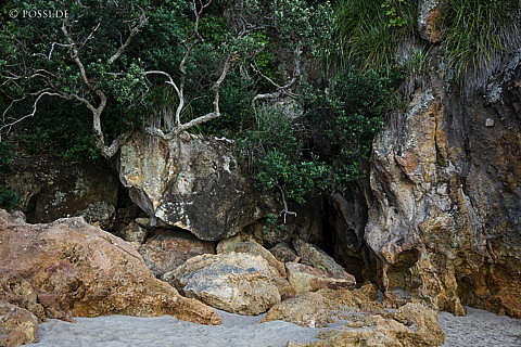 090121-3824.jpg
