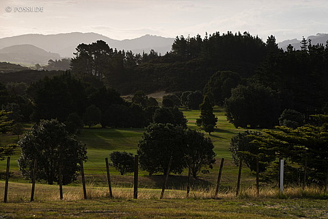 090122-3884.jpg