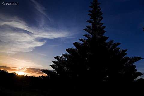 090122-3888.jpg