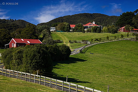 090122-3975.jpg