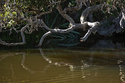 090122-3980.jpg