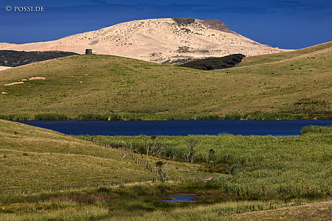 090123-4103.jpg