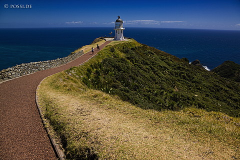 090124-4122.jpg