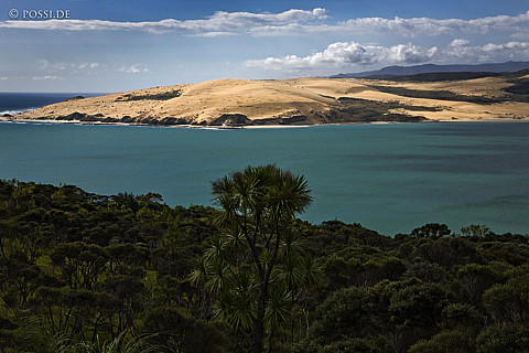 090124-4144.jpg