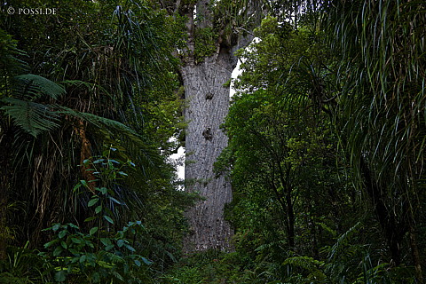090124-4149.jpg