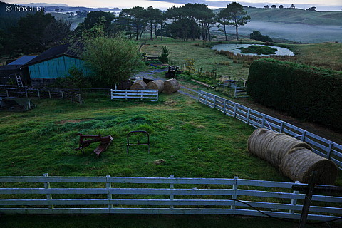 090124-4168.jpg