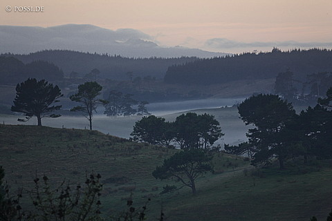 090124-4169.jpg
