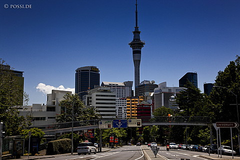 090125-4197.jpg