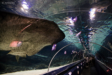 090125-4250.jpg