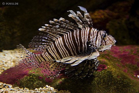 090125-4260.jpg