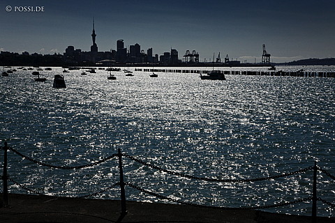 090125-4262.jpg