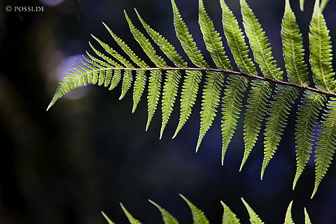 090125-4318.jpg