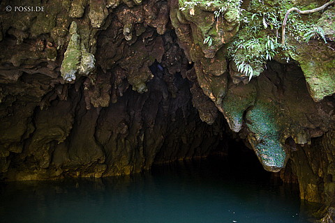 090126-4434.jpg