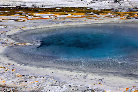 090127-4560.jpg