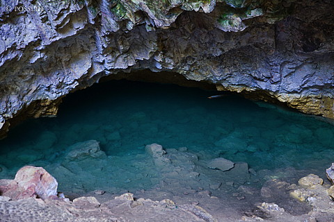 090127-4581.jpg