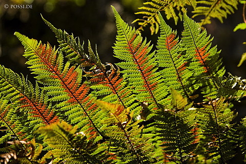 090127-4587.jpg