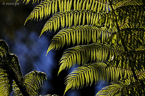 090127-4610.jpg