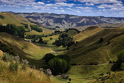 090128-4696.jpg