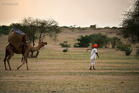 050907-3818.jpg