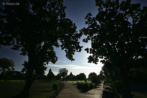 050918-5146.jpg
