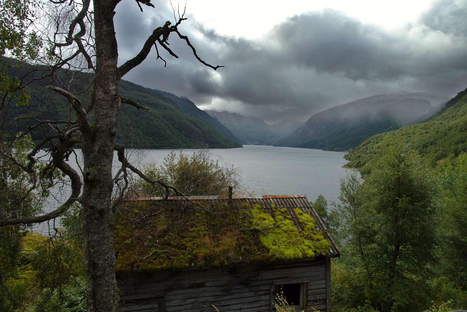 040821-850.jpg