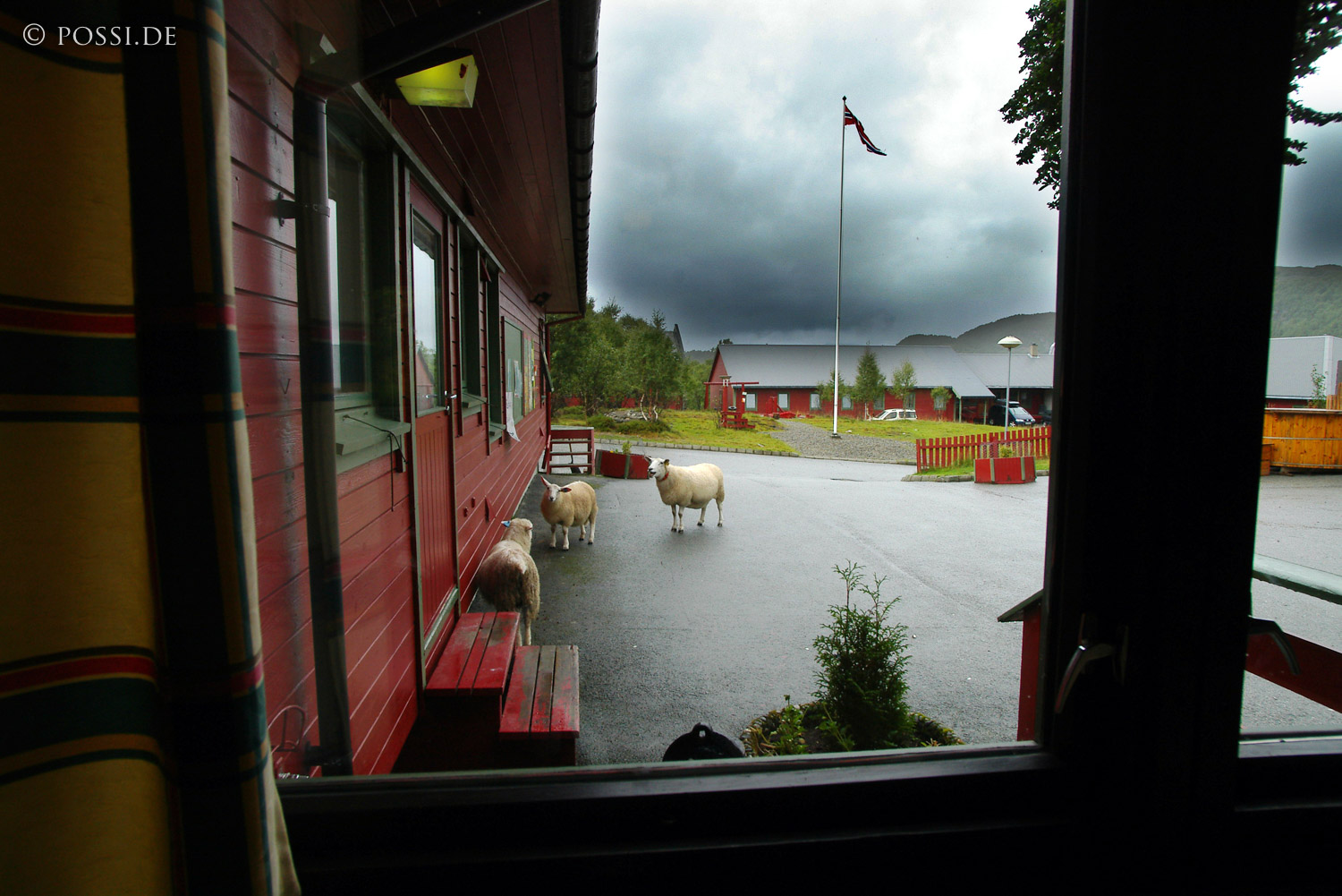040821-852.jpg