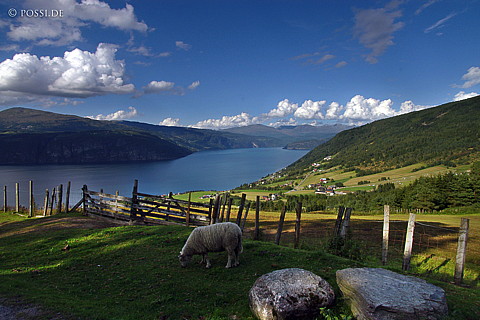 040817-566.jpg