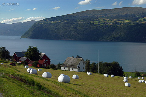 040817-569.jpg