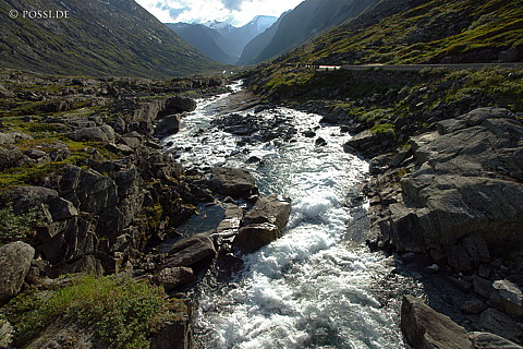 040817-580.jpg