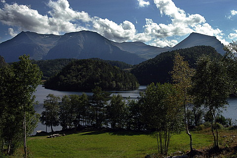 040818-684.jpg