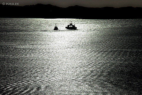 040818-723.jpg