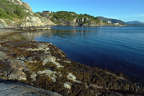 040818-728.jpg