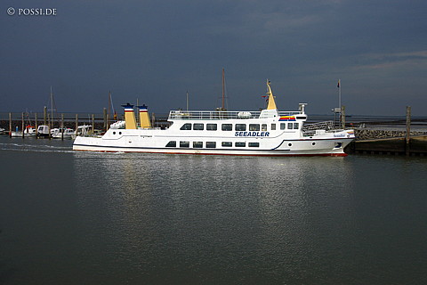 040824-1006.jpg
