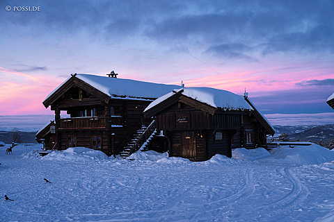 240219-07503181.jpg