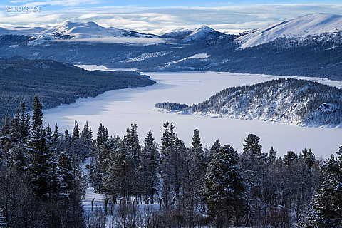 240219-09172254.jpg