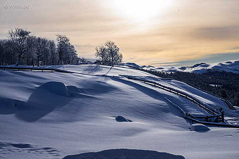 240219-09574810.jpg