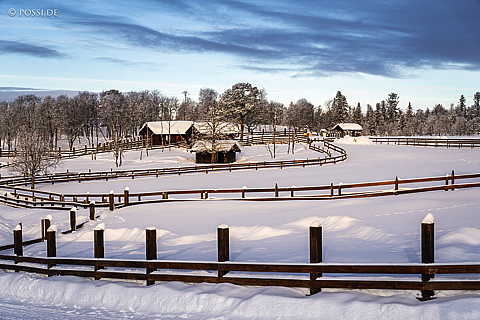 240219-10080288.jpg